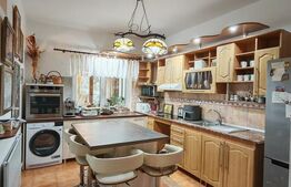 2 Proprietati, 320 mp utili, in centrul Turzii