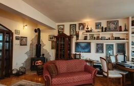 2 Proprietati, 320 mp utili, in centrul Turzii