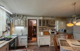 2 Proprietati, 320 mp utili, in centrul Turzii