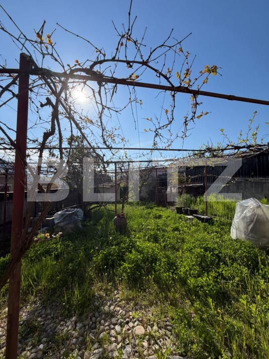 Casa de vânzare 2 camere Sud - 193567CV | BLITZ Turda | Poza3