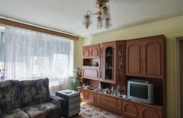 Apartament renovabil, 2 camere, 46 mp, Micro II