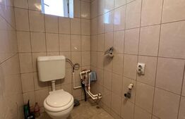 Casa la tara, 4000 mp teren, utilitati, acces A10, sat Dumbrava