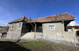Casa la tara, 4000 mp teren, utilitati, acces A10, sat Dumbrava