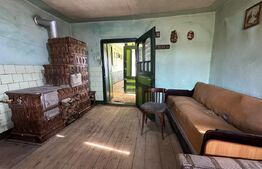 Casa la tara, 4000 mp teren, utilitati, acces A10, sat Dumbrava