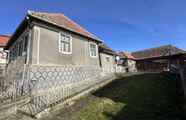 Casa la tara, 4000 mp teren, utilitati, acces A10, sat Dumbrava