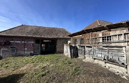 Casa la tara, 4000 mp teren, utilitati, acces A10, sat Dumbrava