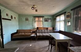 Casa la tara, 4000 mp teren, utilitati, acces A10, sat Dumbrava