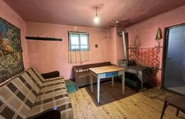 Casa la tara, 4000 mp teren, utilitati, acces A10, sat Dumbrava