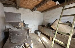 Casa la tara, 4000 mp teren, utilitati, acces A10, sat Dumbrava