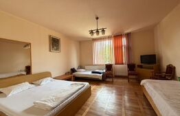 Casa individuala - 9 camere, 369 mp, 868 mp teren, zona Micro 1 