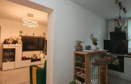 Apartament 2 camere, complet renovat, Micro I