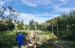 Casa batraneasca renovabila, 1.033 mp teren, zona Poiana