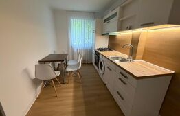 Apartament 2 camere, recent renovat, zona Micro III