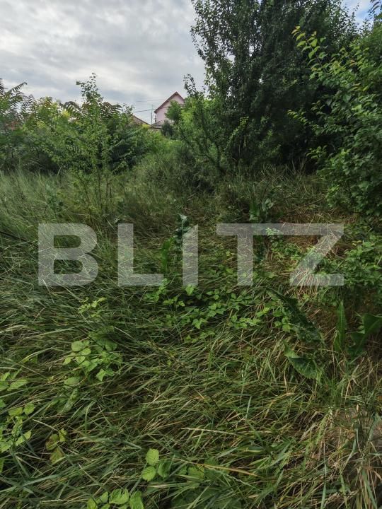 Teren de vânzare Central - 200771TV | BLITZ Turda | Poza2