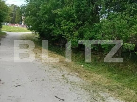 Casa de vânzare 1 camera Boian - 201079CV | BLITZ Turda | Poza2