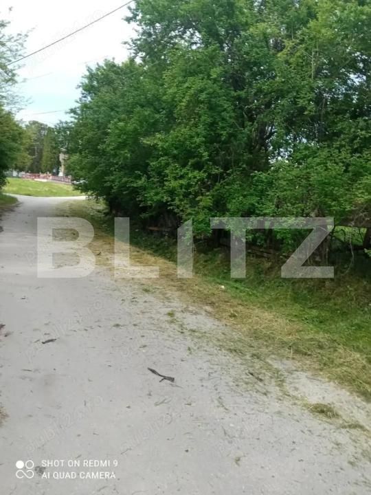 Casa de vânzare 1 camera Boian - 201079CV | BLITZ Turda | Poza2