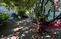 Casă de vânzare, 253 mp, zona Central