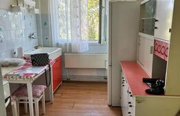 Apartament de vânzare 2 camere Sud-Est - 203760AV | BLITZ Turda | Poza3