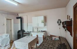 Casa de vazare, 175 mp, teren 6200 mp, exclusiviate, zona Centrala Turda