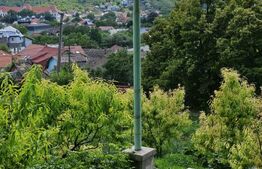 Casa de vazare, 175 mp, teren 6200 mp, exclusiviate, zona Centrala Turda