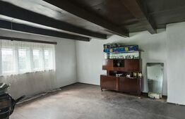 Casa de vazare, 175 mp, teren 6200 mp, exclusiviate, zona Centrala Turda