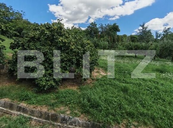 Casa de vânzare 3 camere Central - 202901CV | BLITZ Turda | Poza17