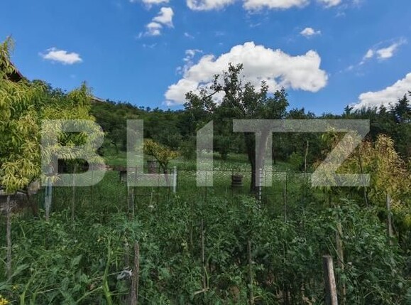 Casa de vânzare 3 camere Central - 202901CV | BLITZ Turda | Poza22