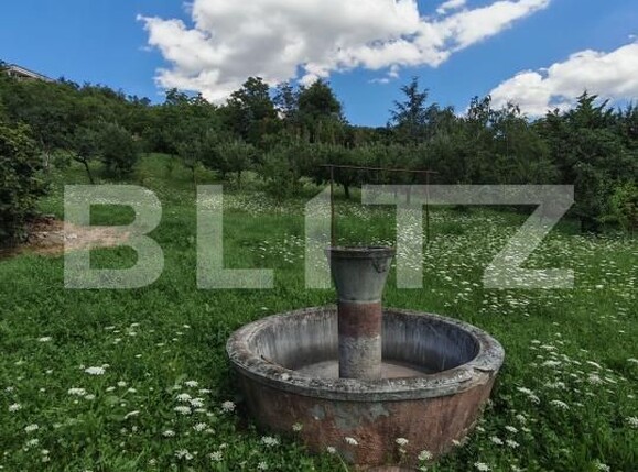 Casa de vânzare 3 camere Central - 202901CV | BLITZ Turda | Poza2