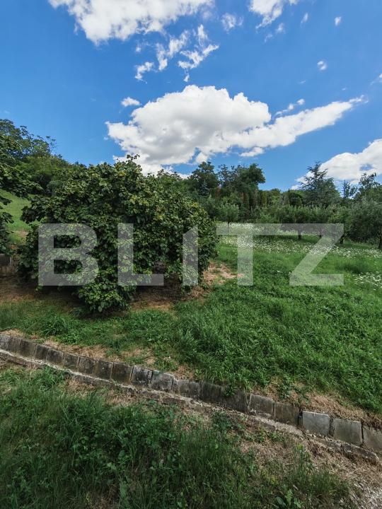 Casa de vânzare 3 camere Central - 202901CV | BLITZ Turda | Poza17