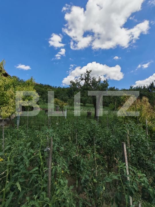 Casa de vânzare 3 camere Central - 202901CV | BLITZ Turda | Poza22