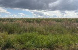 Teren de vânzare, 1.800 mp, zona Turda Cartier Primăverii