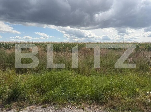 Teren de vânzare Sud-Est - 203268TV | BLITZ Turda | Poza2