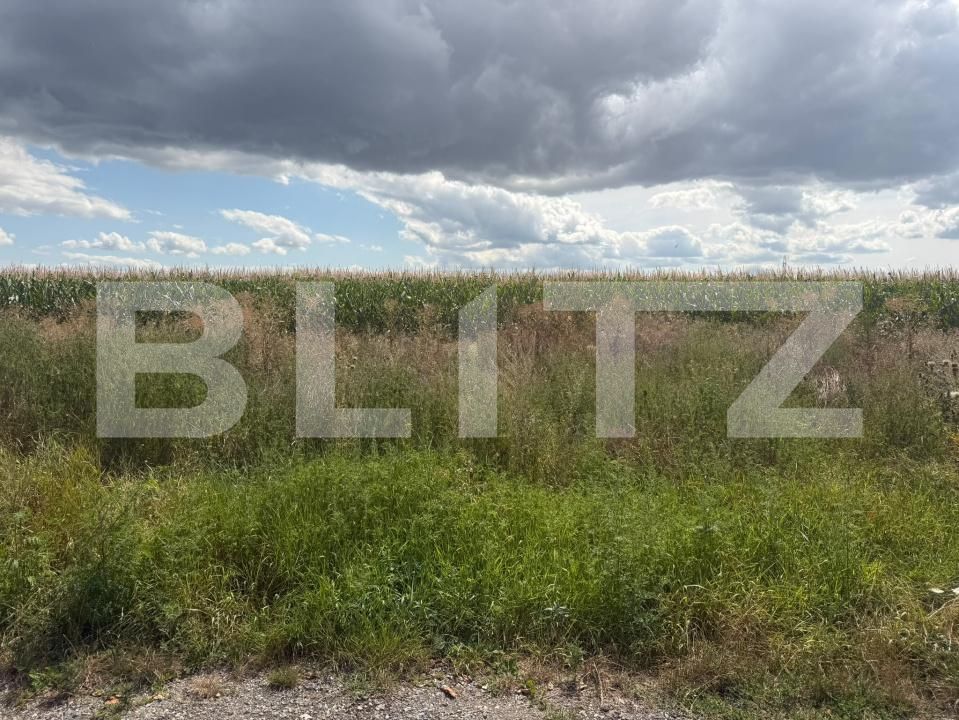 Teren de vânzare Sud-Est - 203268TV | BLITZ Turda | Poza2