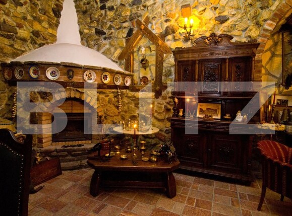 Spațiu comercial de vânzare Central - 203313SVC | BLITZ Turda | Poza3