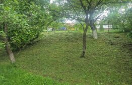 Teren de vanzare, 1000 mp, zona Turda 
