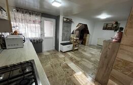 Casa de inchiriat, zona primaveri