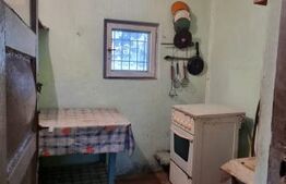 Casa cu 3 camere, anexe, curte și grădină