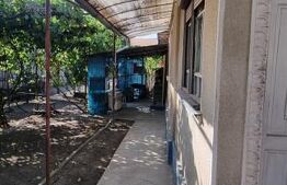 Casa cu 3 camere, anexe, curte și grădină