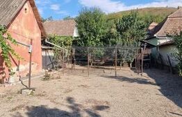 Casa cu 3 camere, anexe, curte și grădină