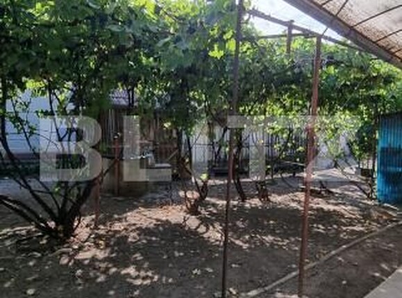 Casa de vânzare 3 camere Boian - 204123CV | BLITZ Turda | Poza2