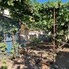 Casa de vânzare 3 camere Boian - 204123CV - Poza 1 din 14 | BLITZ Turda | Poza7