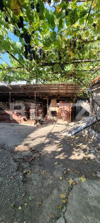 Casa de vânzare 3 camere Boian - 204123CV | BLITZ Turda | Poza6