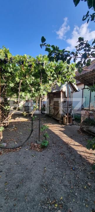 Casa de vânzare 3 camere Boian - 204123CV | BLITZ Turda | Poza4