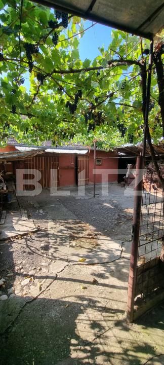 Casa de vânzare 3 camere Boian - 204123CV | BLITZ Turda | Poza7