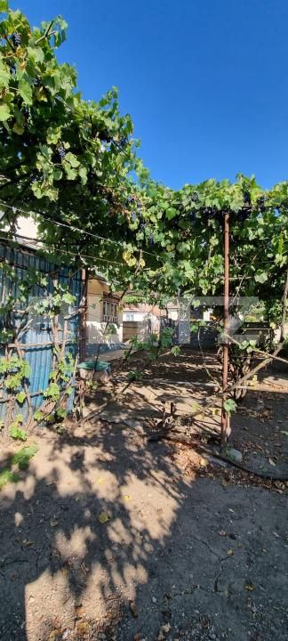 Casa de vânzare 3 camere Boian - 204123CV | BLITZ Turda | Poza3