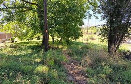 Teren intravilan, 2350 mp, casa demolabila, zona Turda