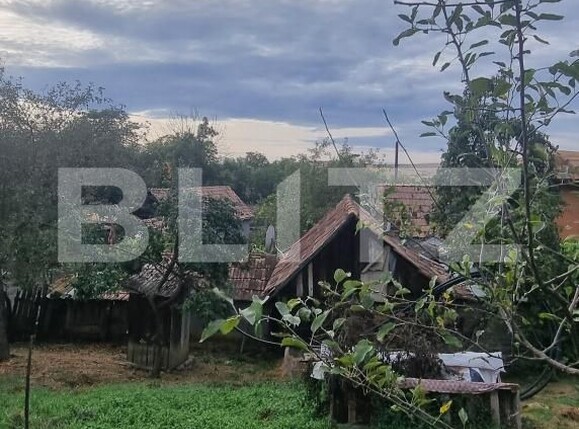 Casa de vânzare 2 camere Boian - 204884CV | BLITZ Turda | Poza19