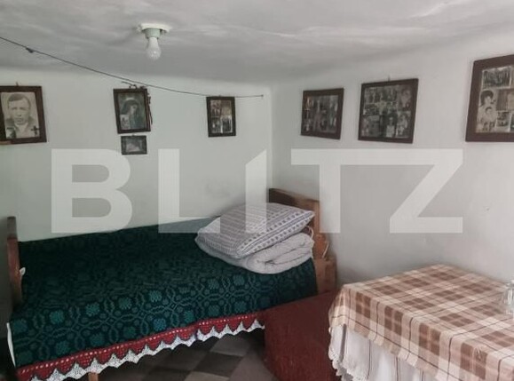 Casa de vânzare 2 camere Boian - 204884CV | BLITZ Turda | Poza3