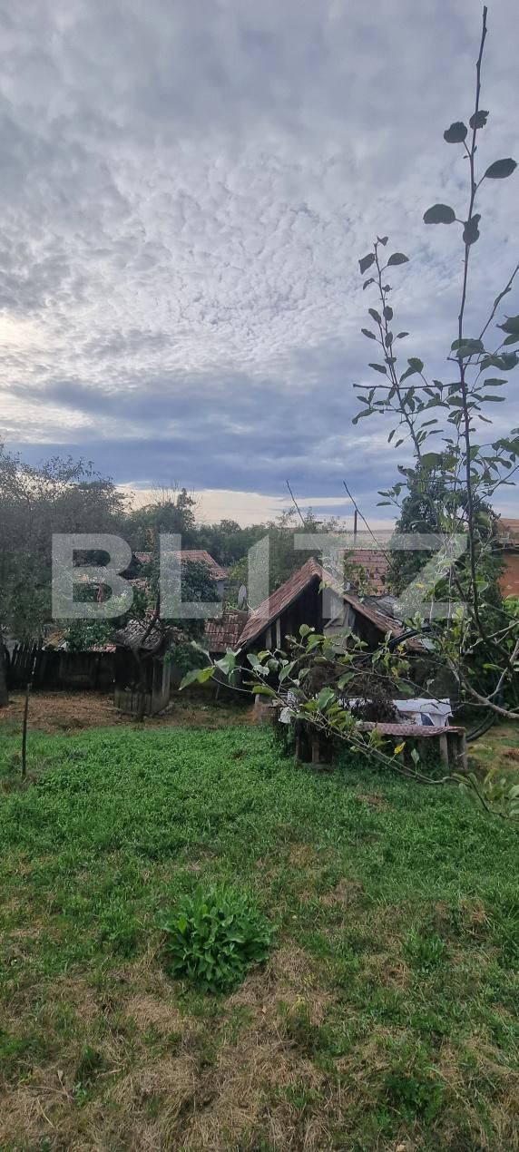 Casa de vânzare 2 camere Boian - 204884CV | BLITZ Turda | Poza19