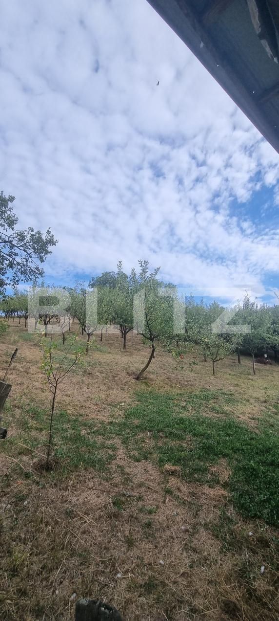 Casa de vânzare 2 camere Boian - 204884CV | BLITZ Turda | Poza18
